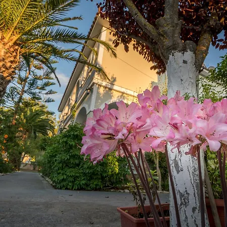 Tota Studios Apartment *