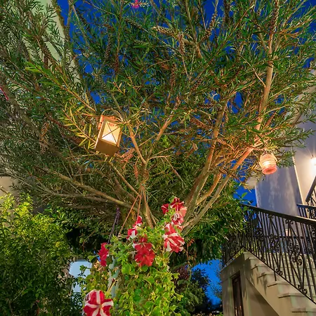 Appartamento Tota Tsilivi (Zakynthos)
