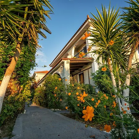 Appartamento Tota Tsilivi (Zakynthos)