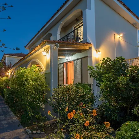 Tota * تسيليفي